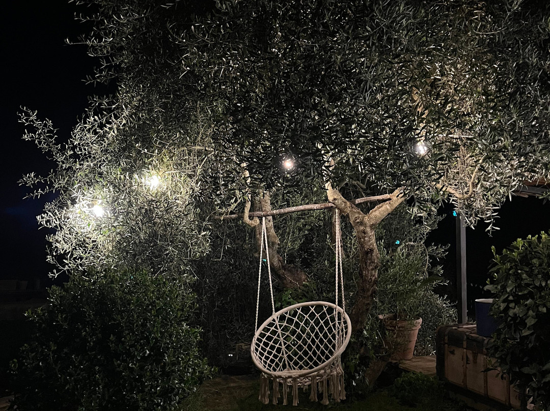 波德雷拉保利纳 - 餐厅与魅力住宅主图