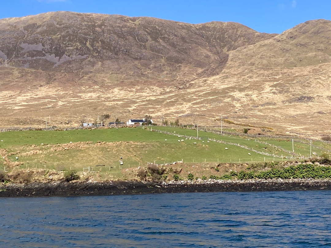 Killary Fjord Boat Tours景点图片