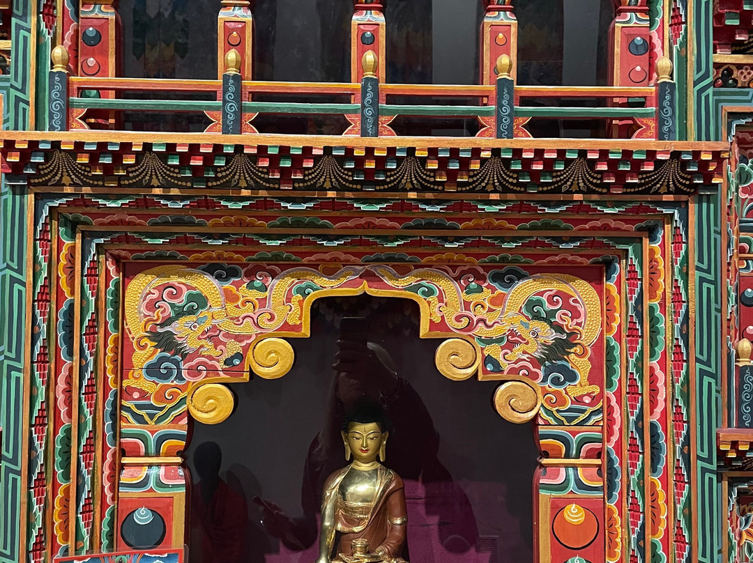 Alternative Tours景点图片