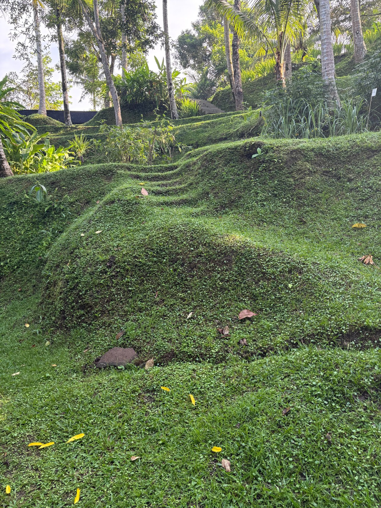 乌布香樟华苹度假别墅&水疗中心-浴室