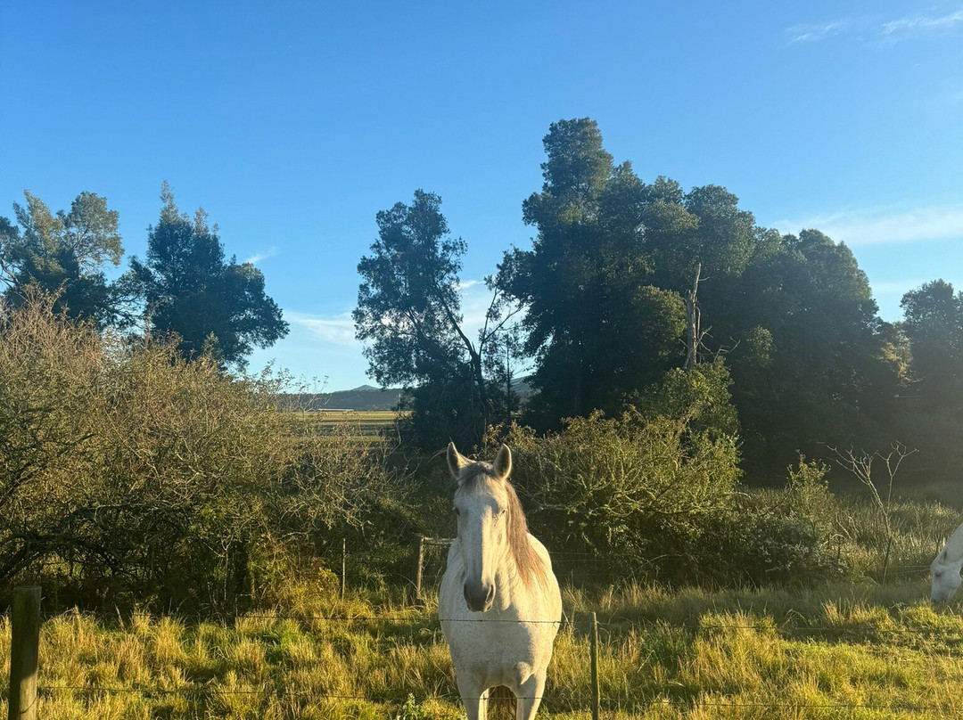 Vala House-Rheenendal必去景点