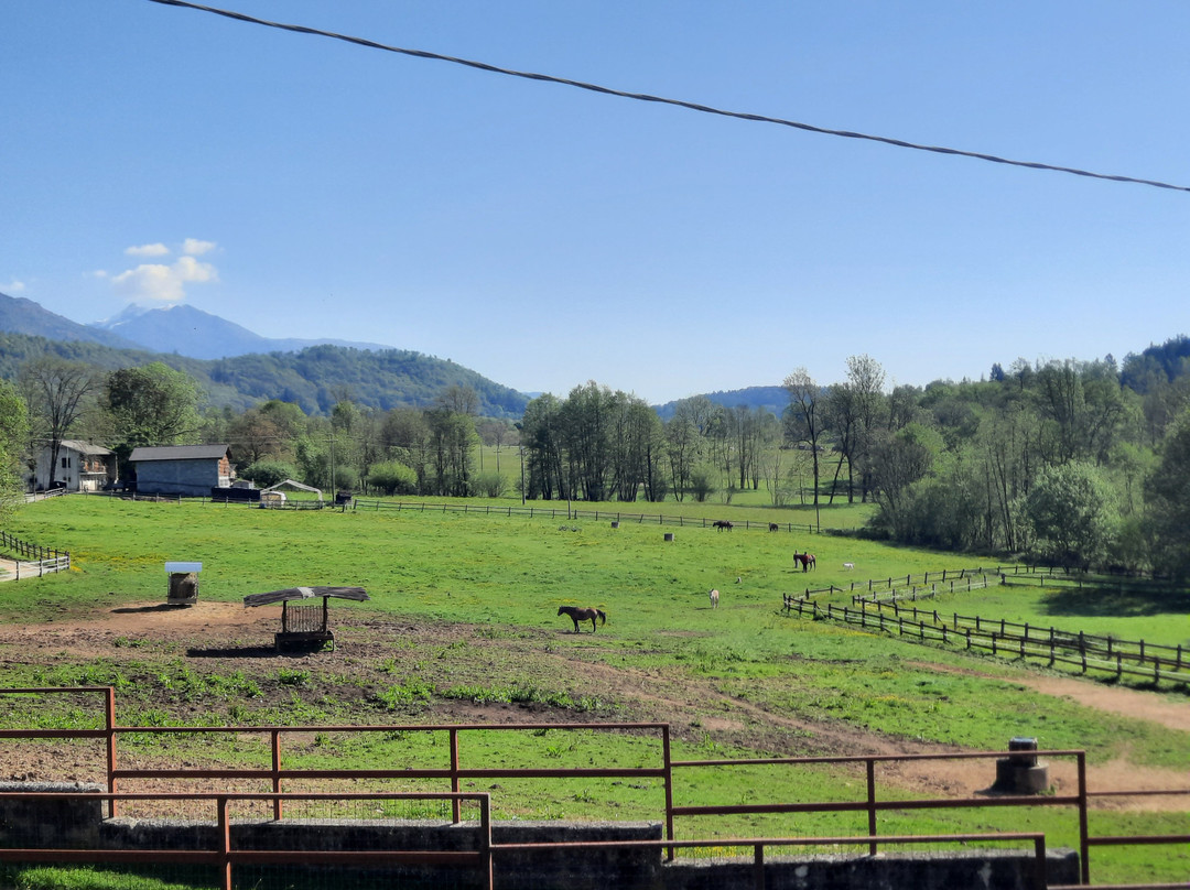 Favetto Family Ranch