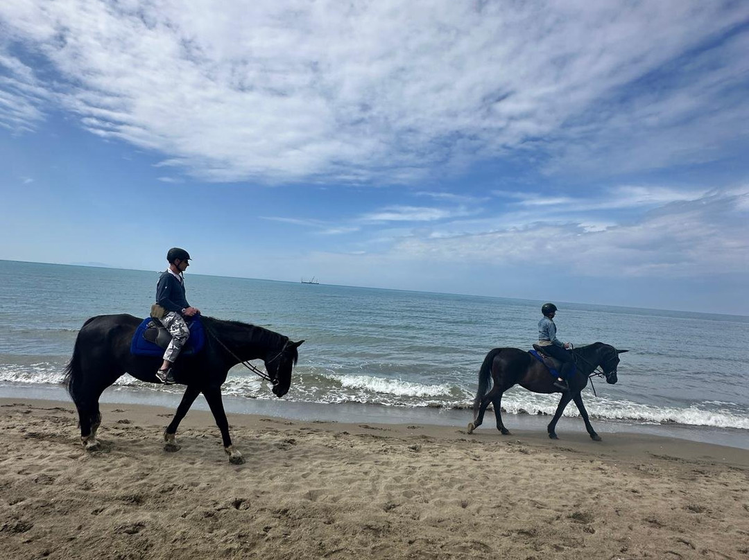 Cavallo Natura景点图片