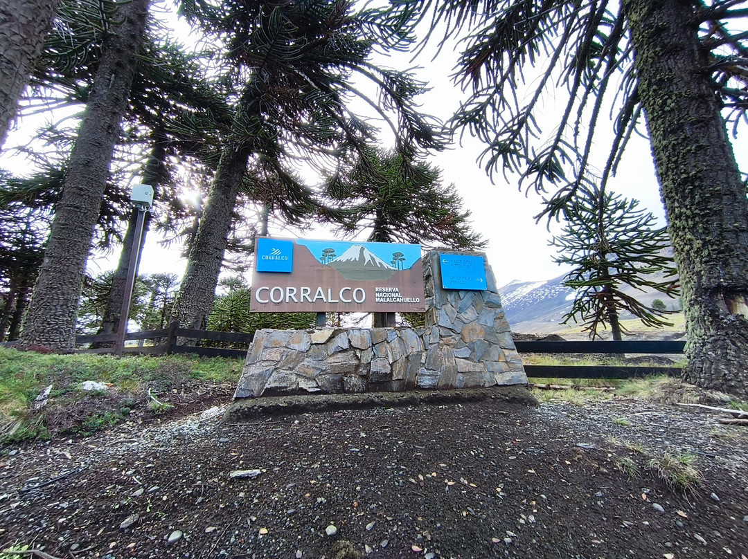 Valle Corralco Hotel & Spa主图