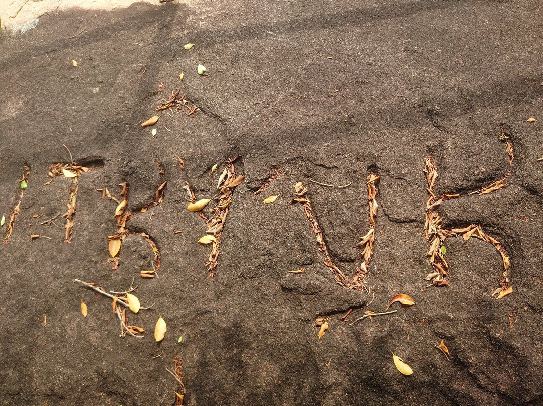 Thonigala Rock Inscriptions-Thonigala必去景点