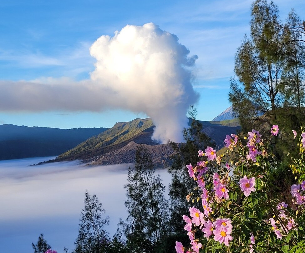 Seruni Point Bromo-Sukapura必去景点