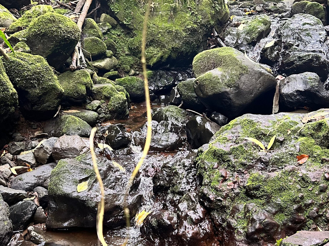 Escape Poasito-Poasito必去景点