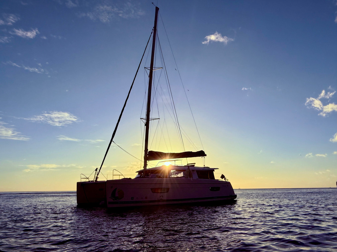 Alex Croisiere Grenadines et Caraibe-Le Marin必去景点