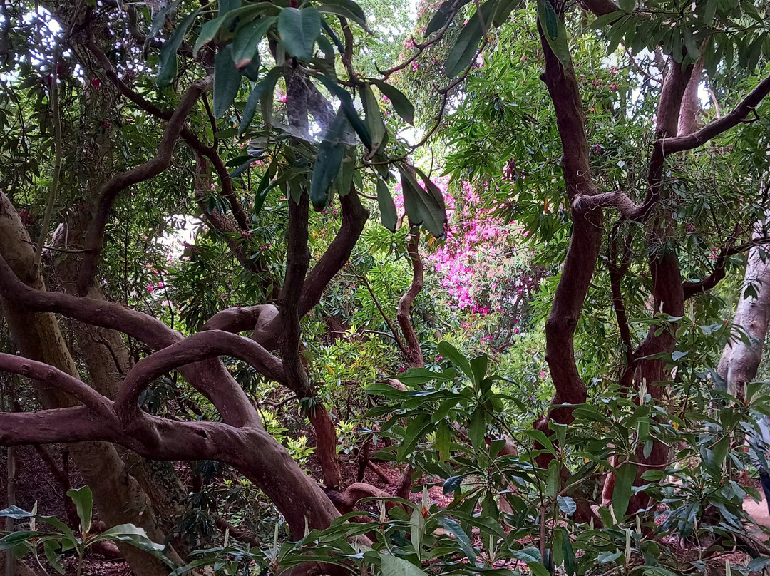 The American Garden-海斯必去景点