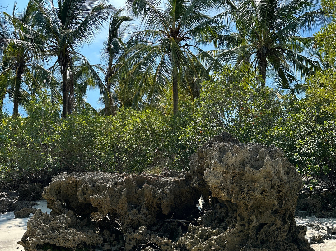 Travel Plus Zanzibar Tours & Safari-石头城必去景点