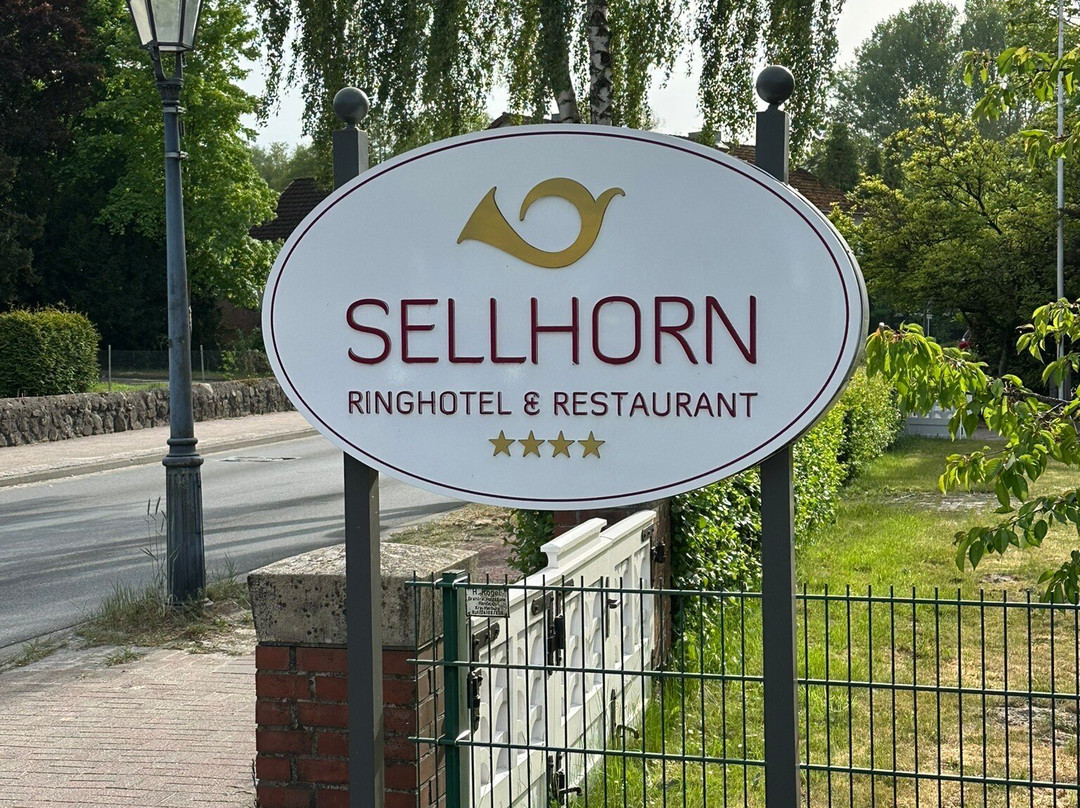 Sellhorn