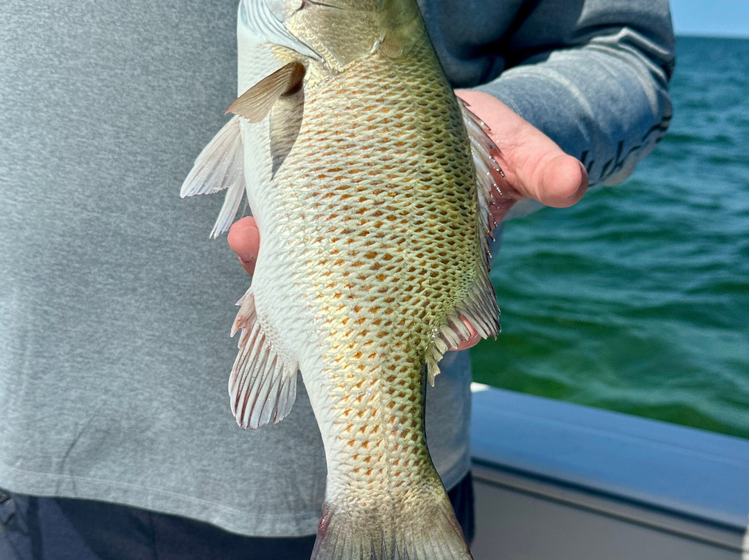 L & L First Love Charters-Duck Key必去景点