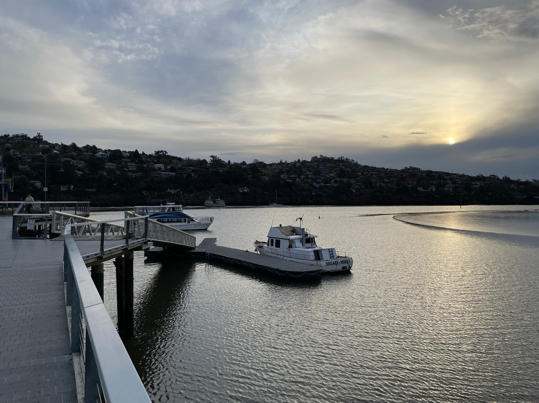 Tamar River-朗塞斯顿必去景点