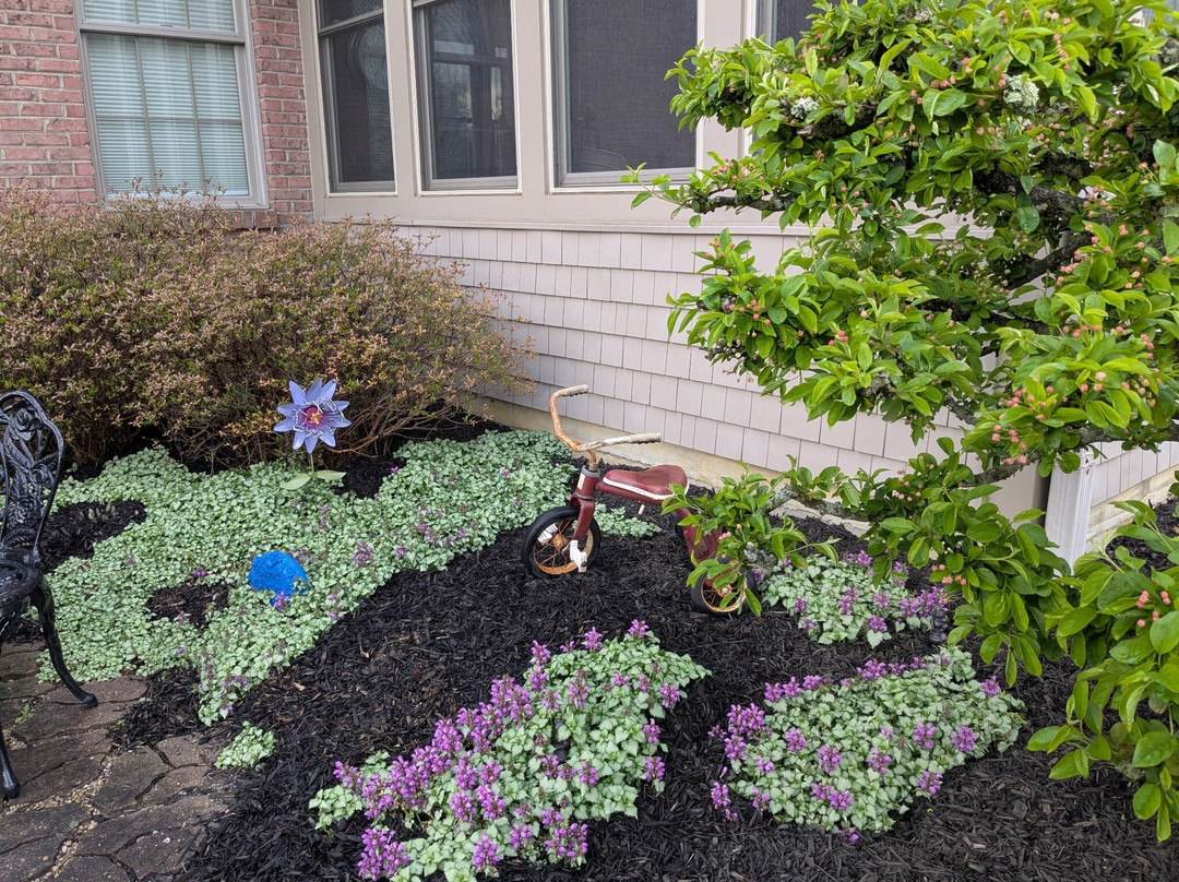 Lebanon Garden Tour And Scavenger Hunt-Lebanon必去景点