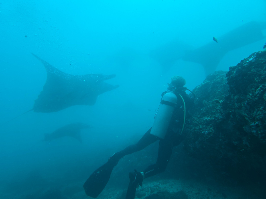 Wild Scuba Indonesia景点图片