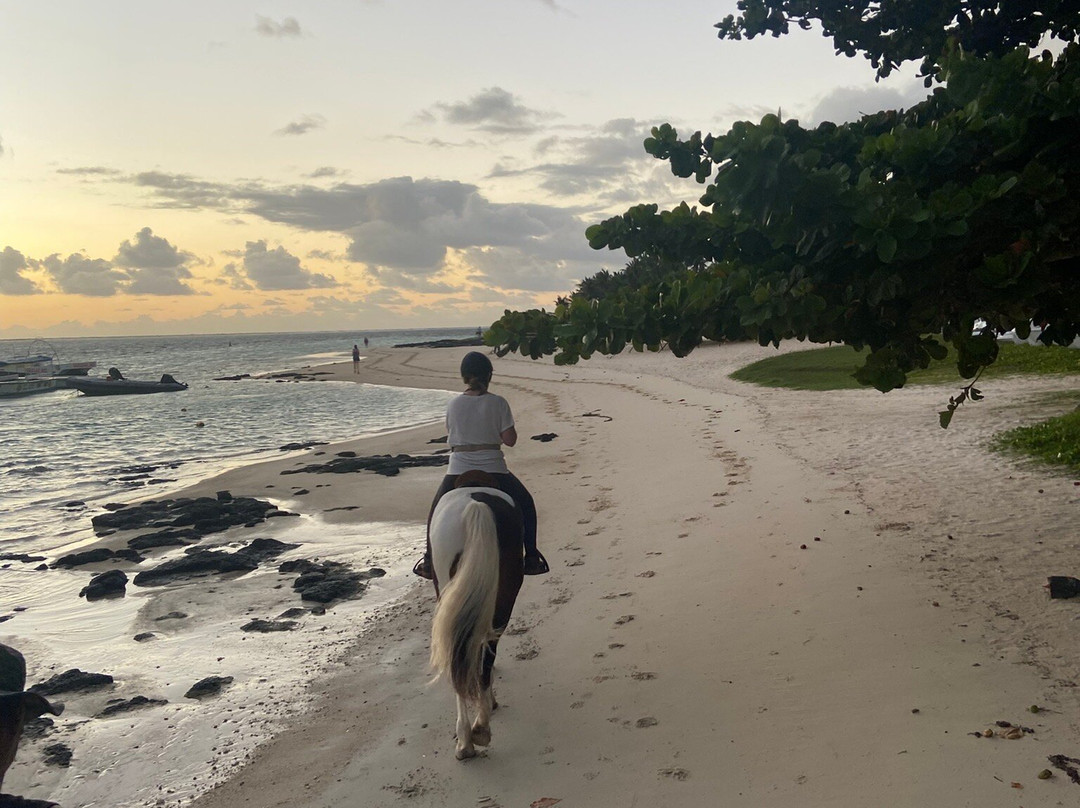 Legasea Stables Mauritius-Quatre Cocos必去景点