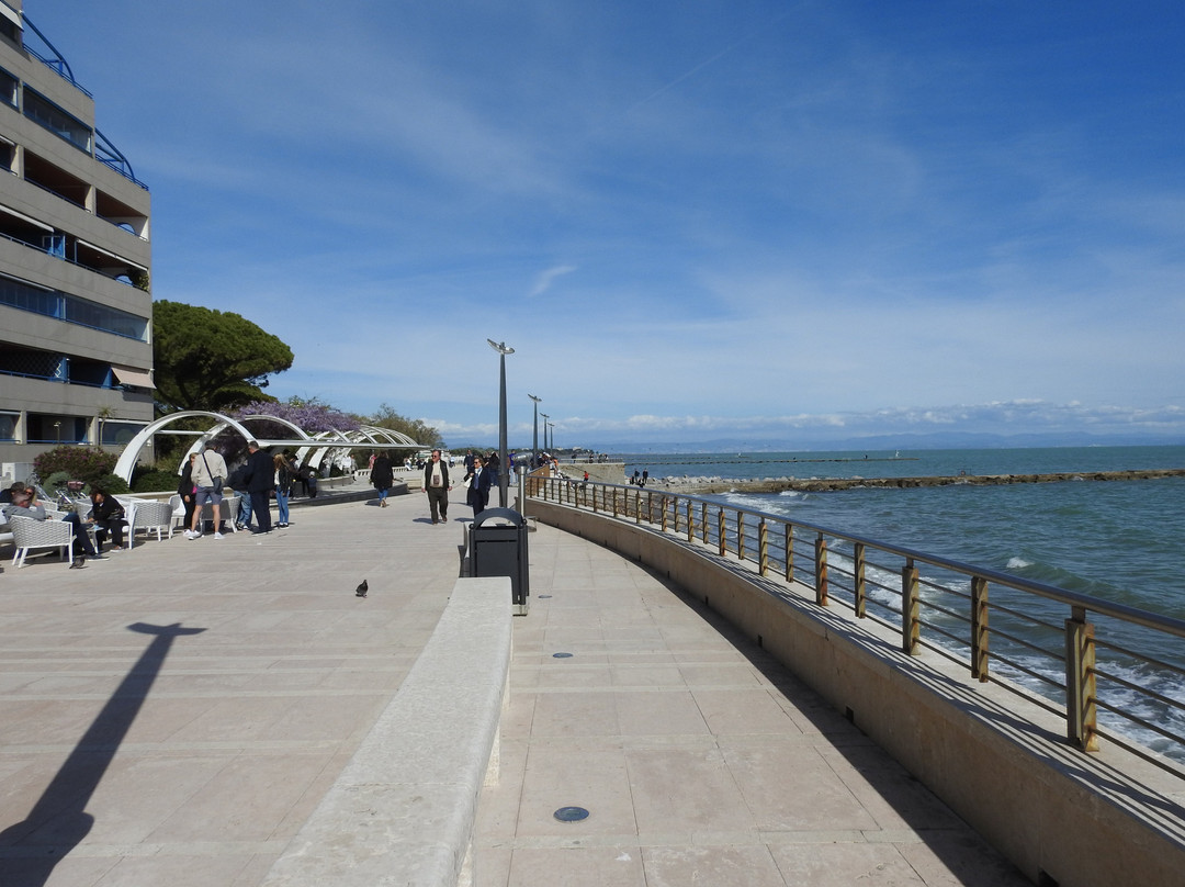 Lungomare Nazario Sauro景点图片