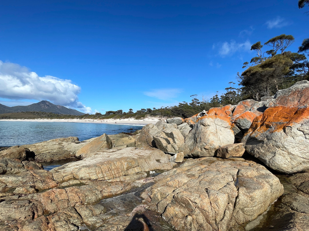 Wineglass Bay and Hazards Beach Circuit景点图片
