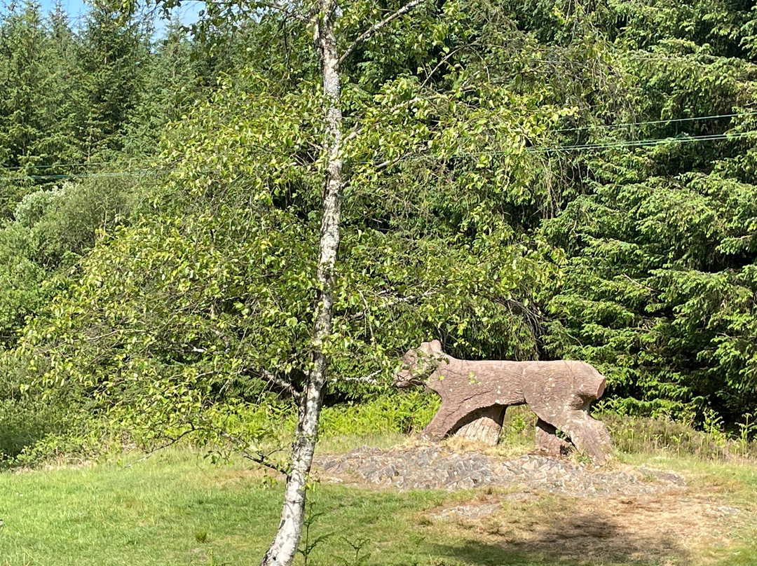 Grizedale Forest-Hawkshead必去景点