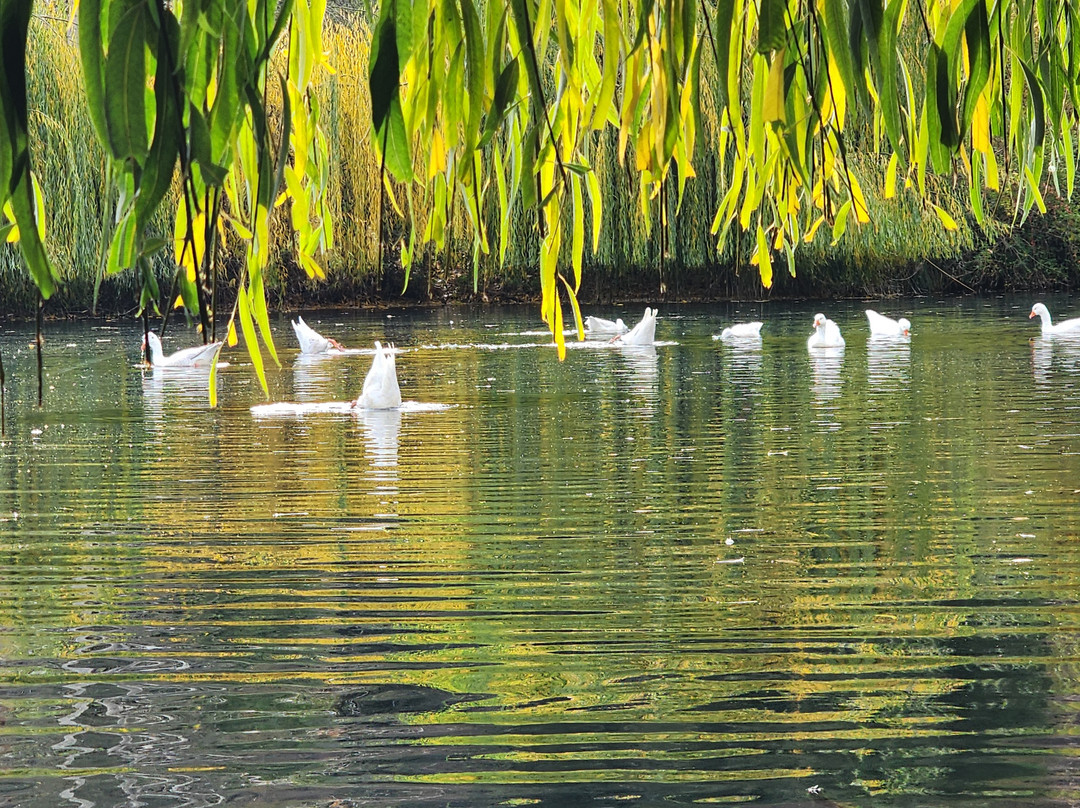 San Francisco Lodge主图
