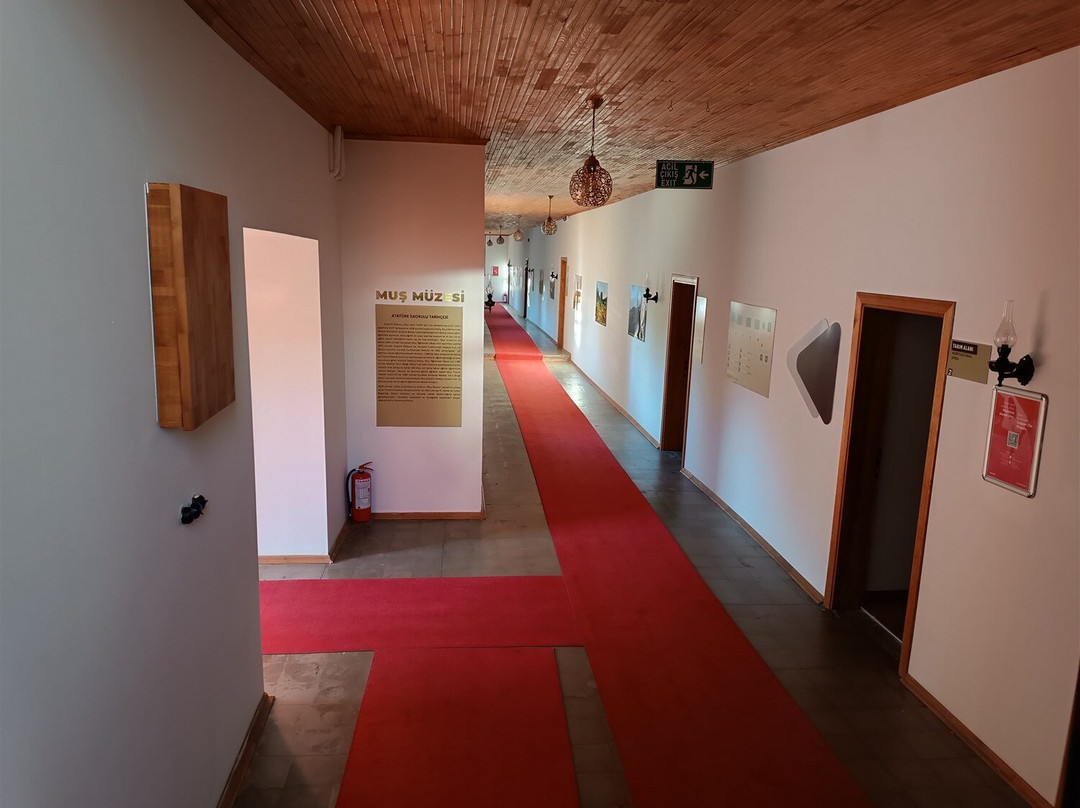 Mus Museum景点图片