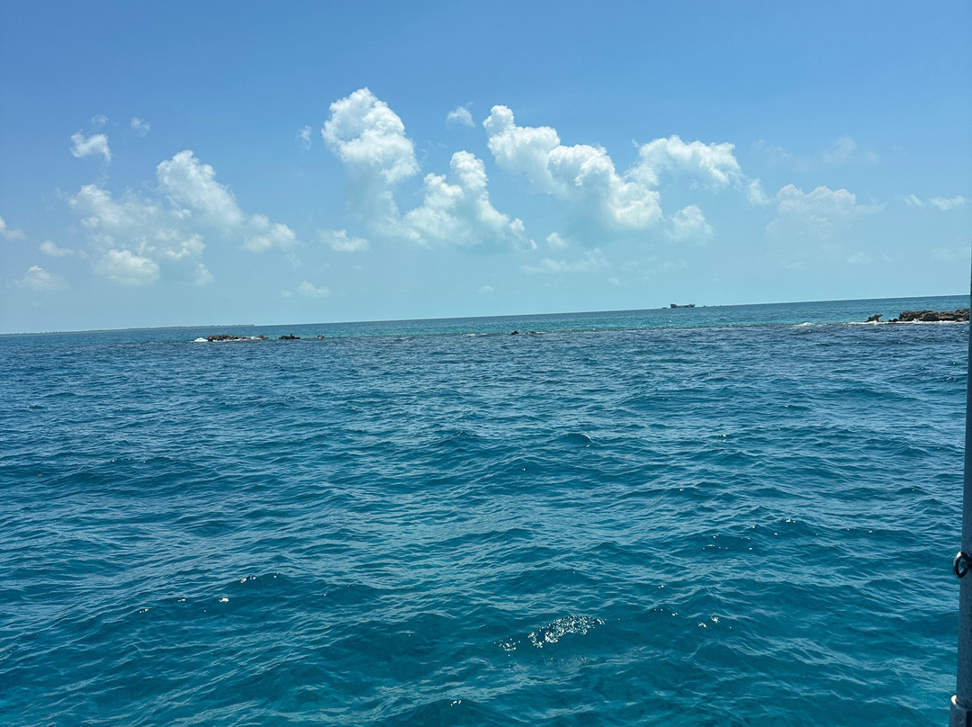 Neal Watson's Bimini Scuba Center景点图片
