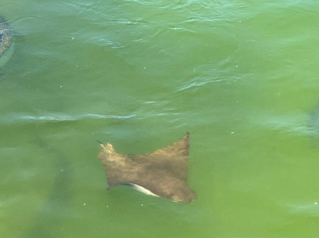 Florida Oceanographic Coastal Center-斯图尔特必去景点