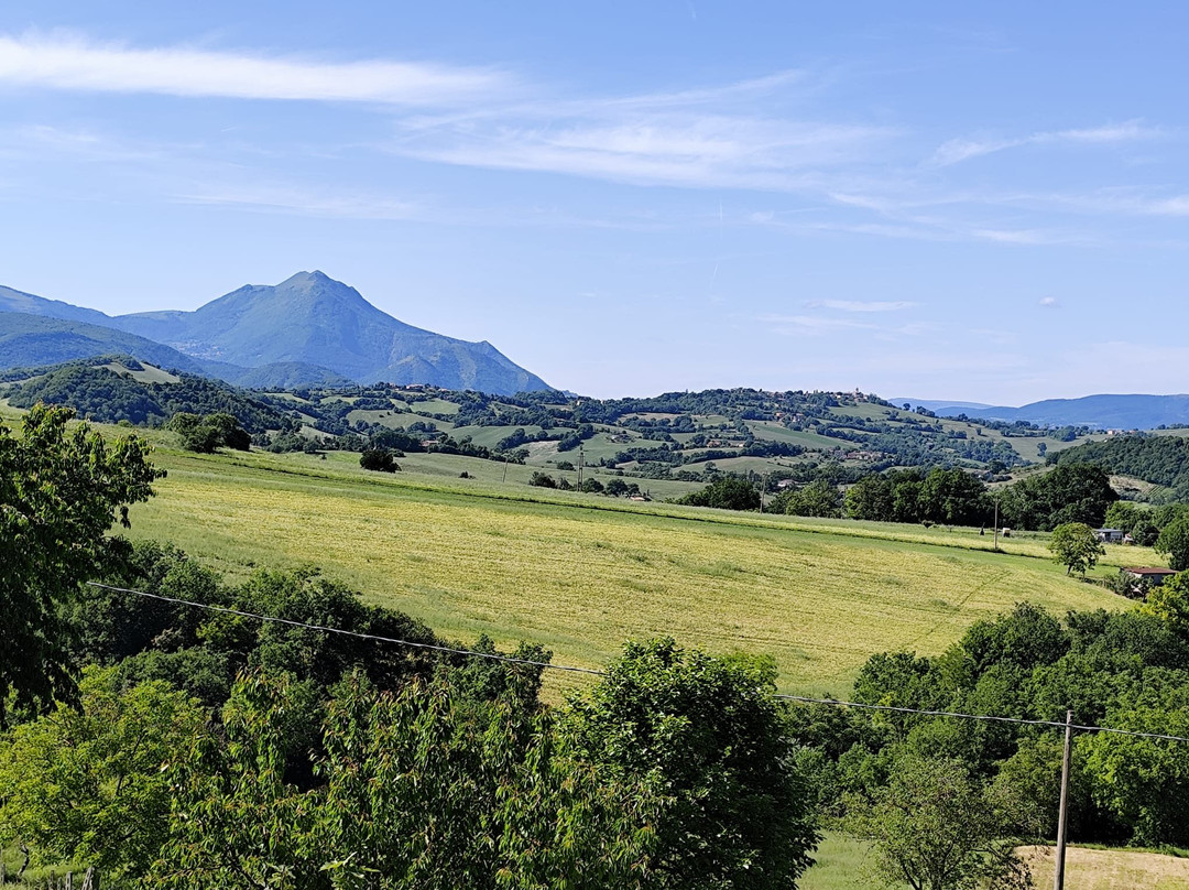 Agriturismo  La Cerasa主图