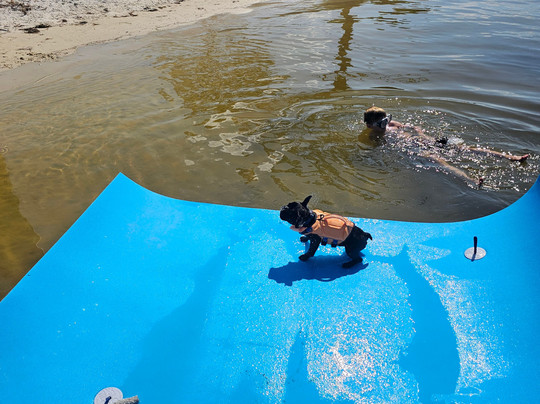 Hudson Marina-橙色海湾必去景点