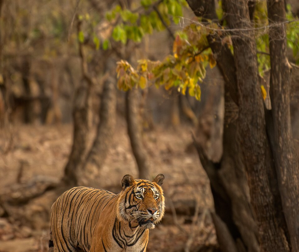 Sudhir Shivaram Photography-班加罗尔必去景点