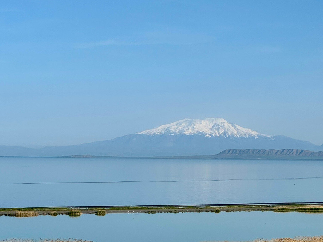 DoubleTree by Hilton Hotel Van主图