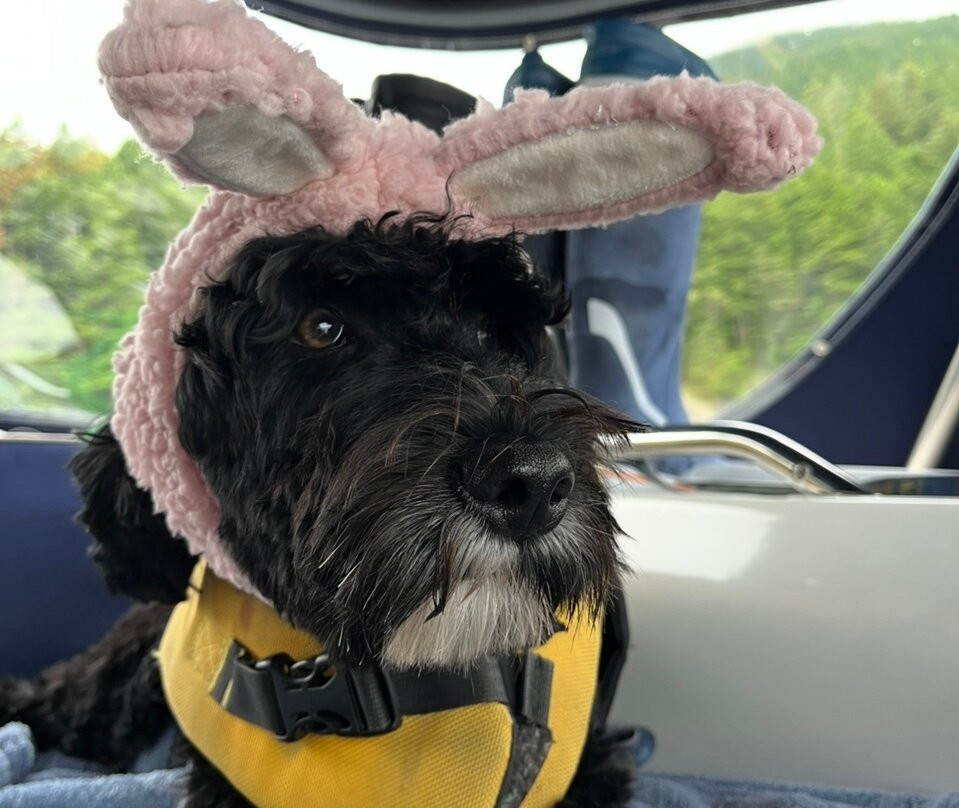 Sail The San Juans-贝灵厄姆必去景点