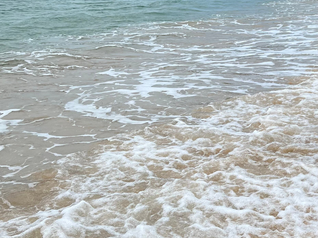 哈西恩德戴尔马尔凯悦酒店主图