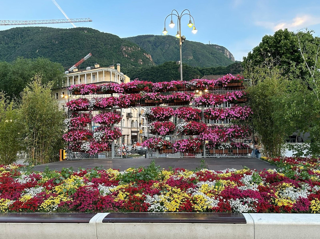 Piazza Walther景点图片