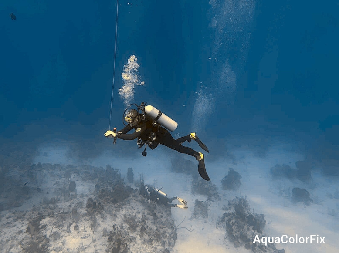 Only Blue Diving Dreams景点图片