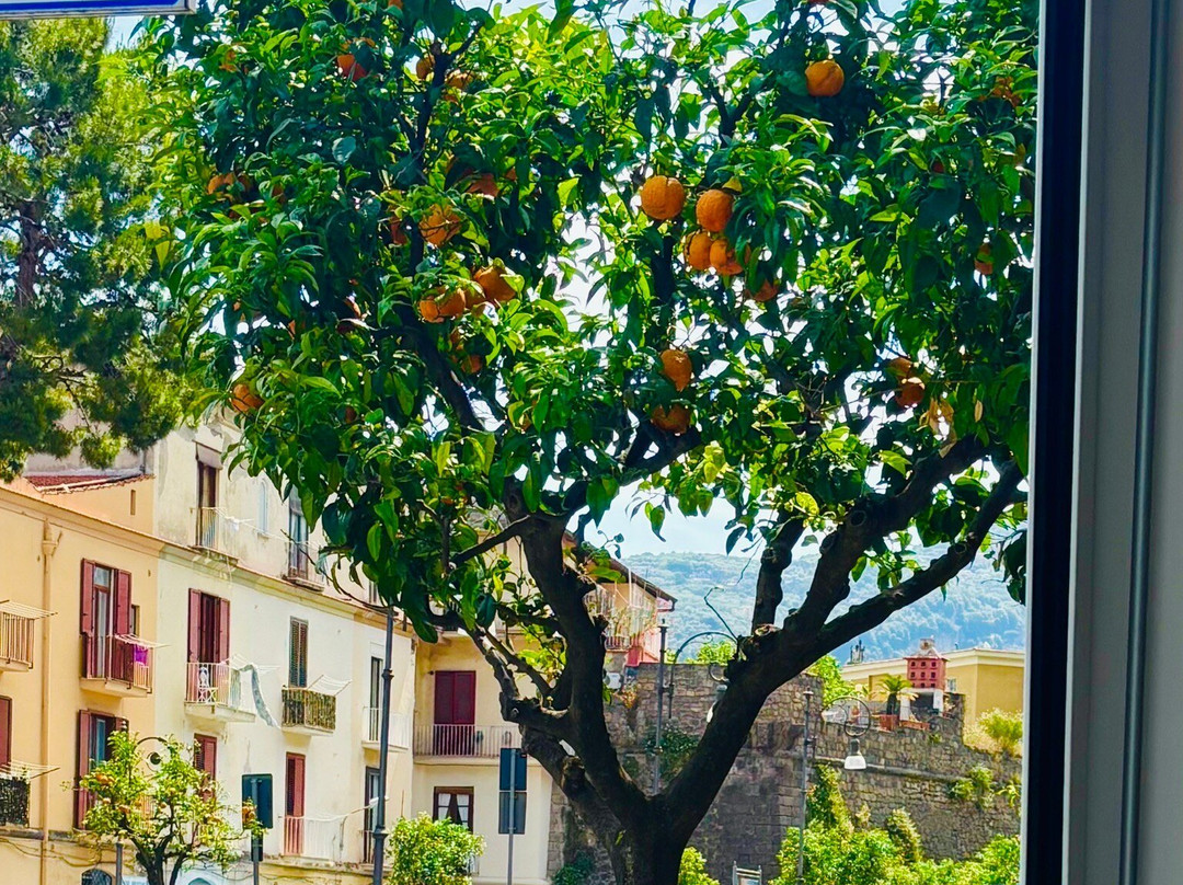 Il Vallone dei Mulini-索伦托必去景点