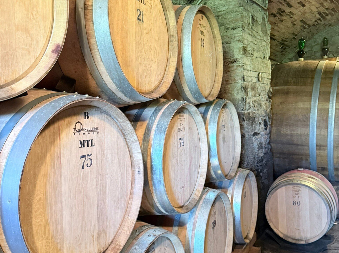 Best of Mas-锡耶纳必去景点