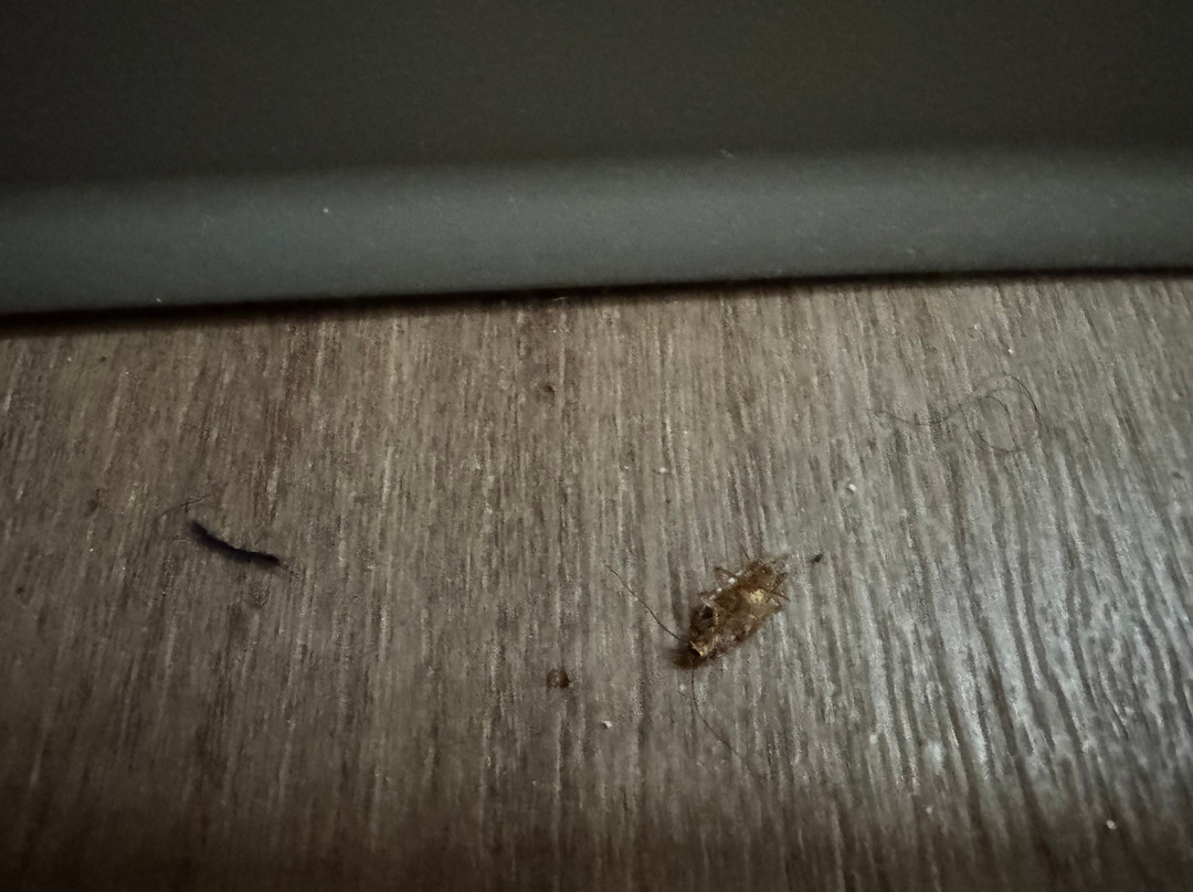 Comfort Inn Pensacola - University Area主图