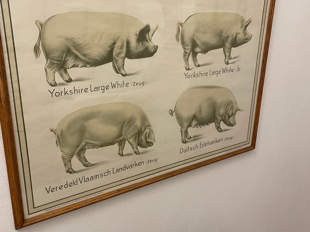 La Dogana Ristorante-Valiano必去景点