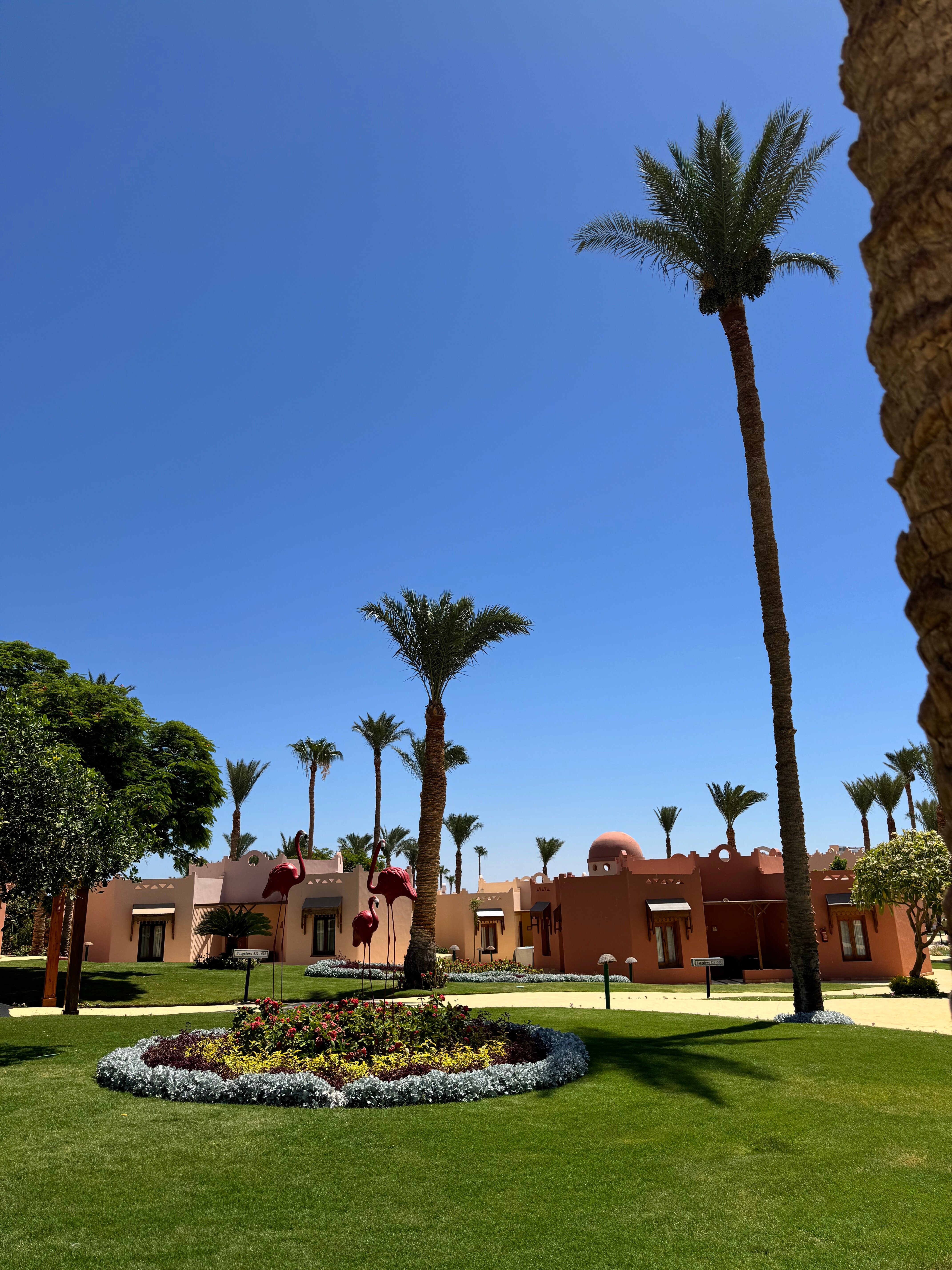 Nubian Village Hotel-浴室