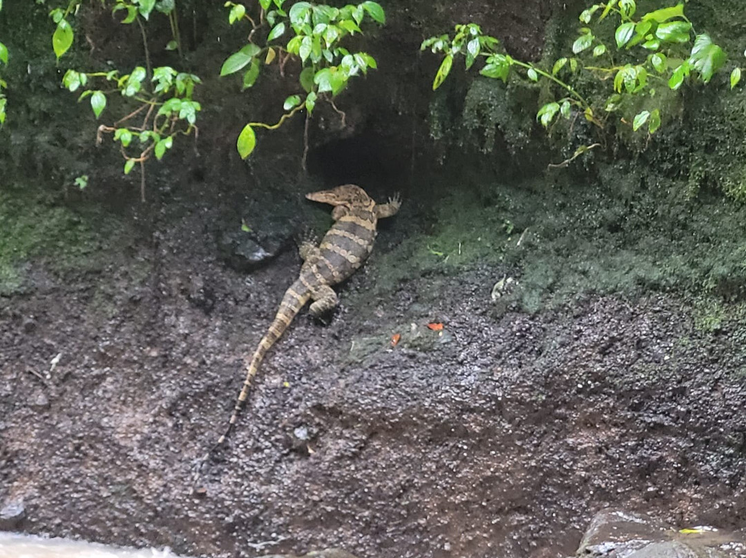 Bali Sunrise Tour-金塔马尼必去景点