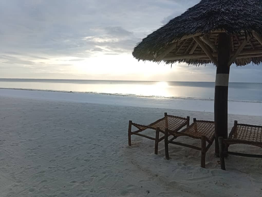 Villa Dida Resort Zanzibar-泳池