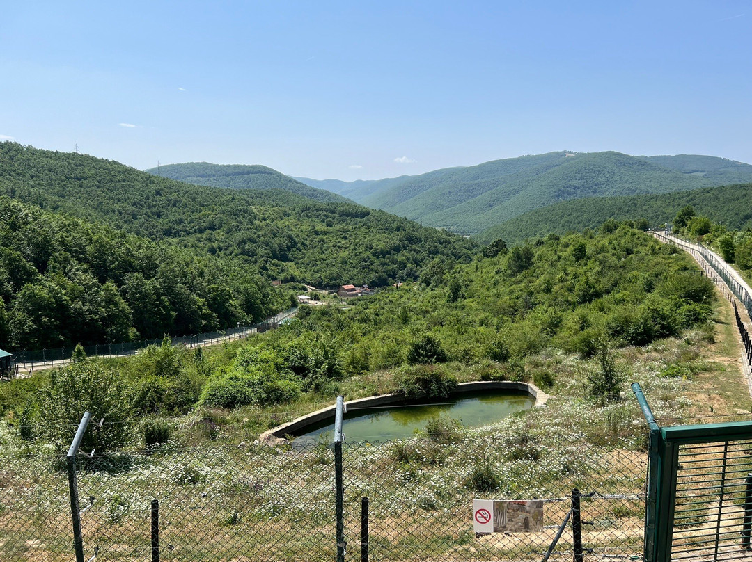 BEAR SANCTUARY Prishtina-普里什蒂纳必去景点