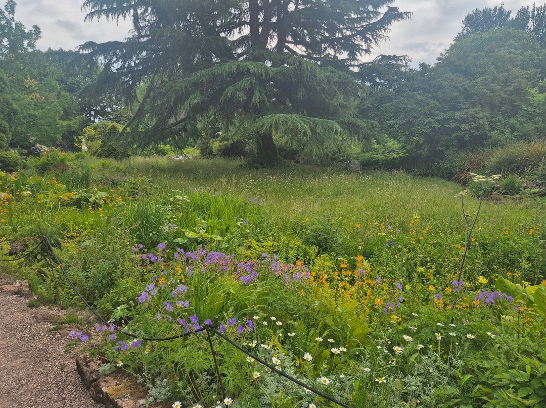 Ness Botanic Gardens-Ness必去景点