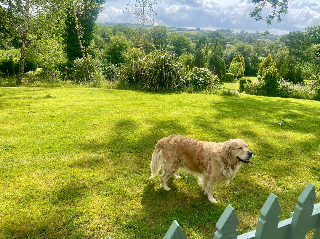 彭伯特布雷恩豪华住宿加早餐酒店主图