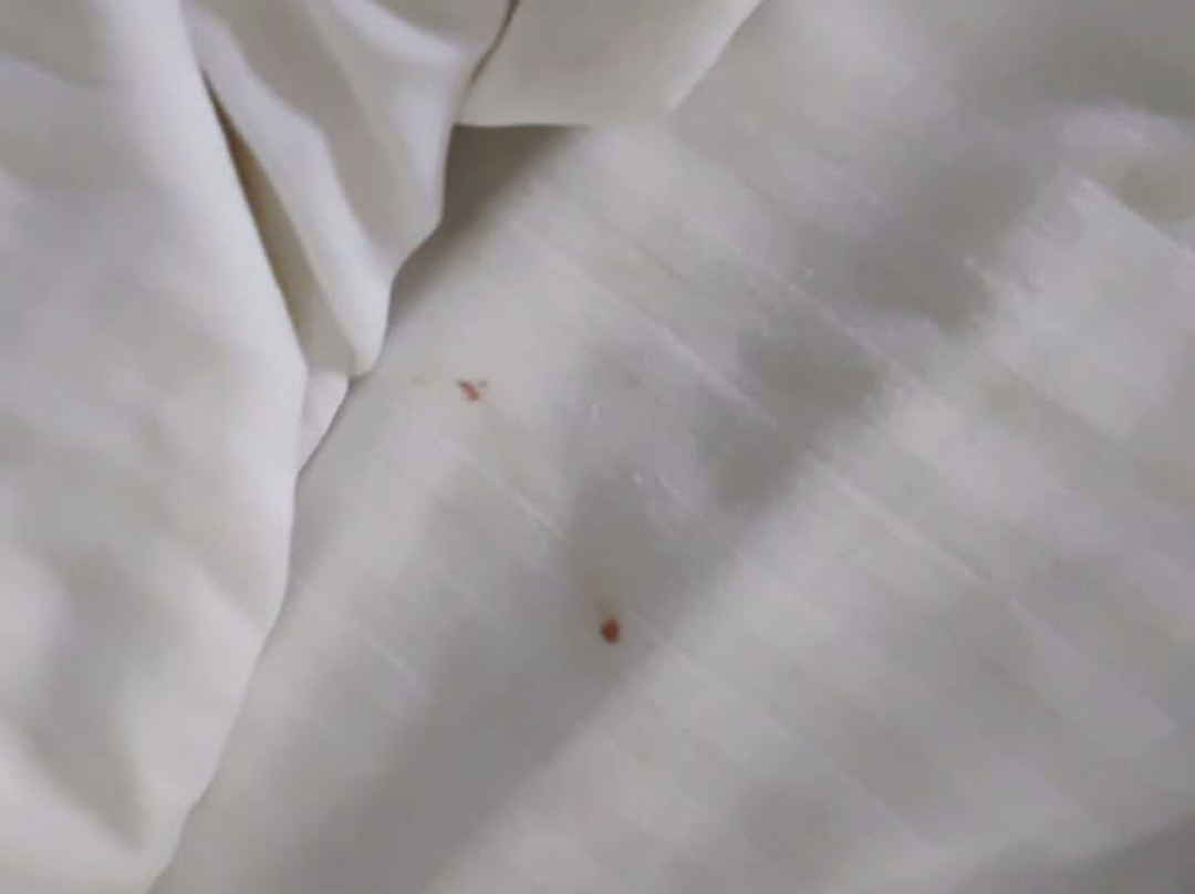 La Quinta Inn & Suites by Wyndham Conway主图