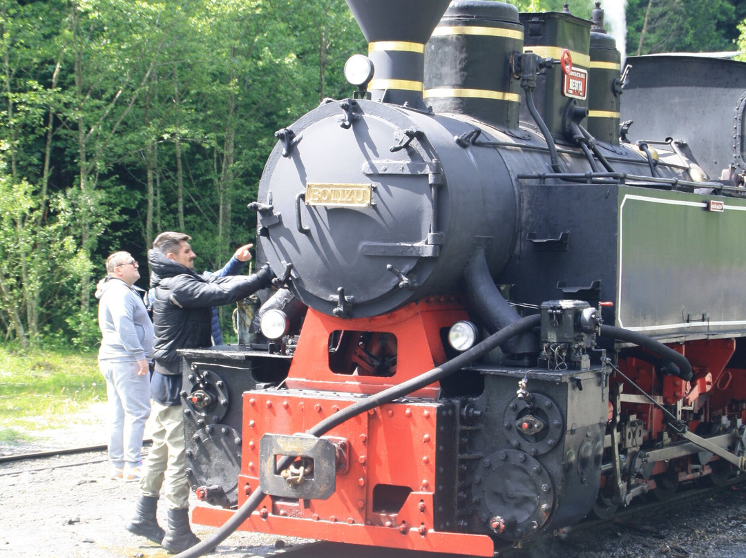 Vaser Valley Forestry Railway - Day Tours-Viseu de Sus必去景点