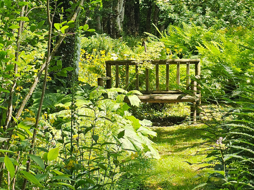 Stone Lane Gardens-Chagford必去景点