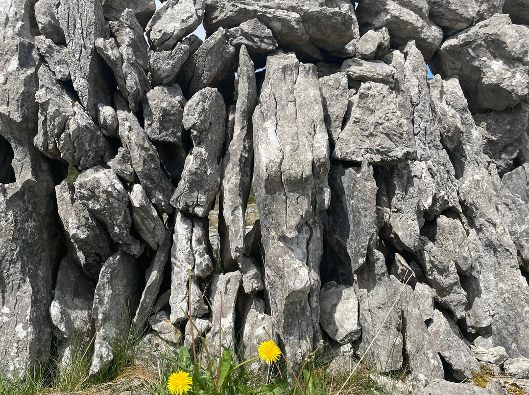 Burren EBike Adventures景点图片