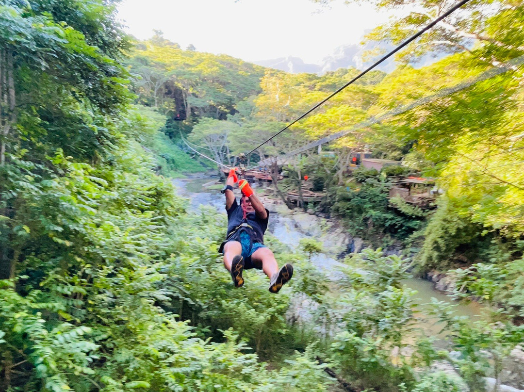 Sleeping Giant Zipline-纳迪市必去景点